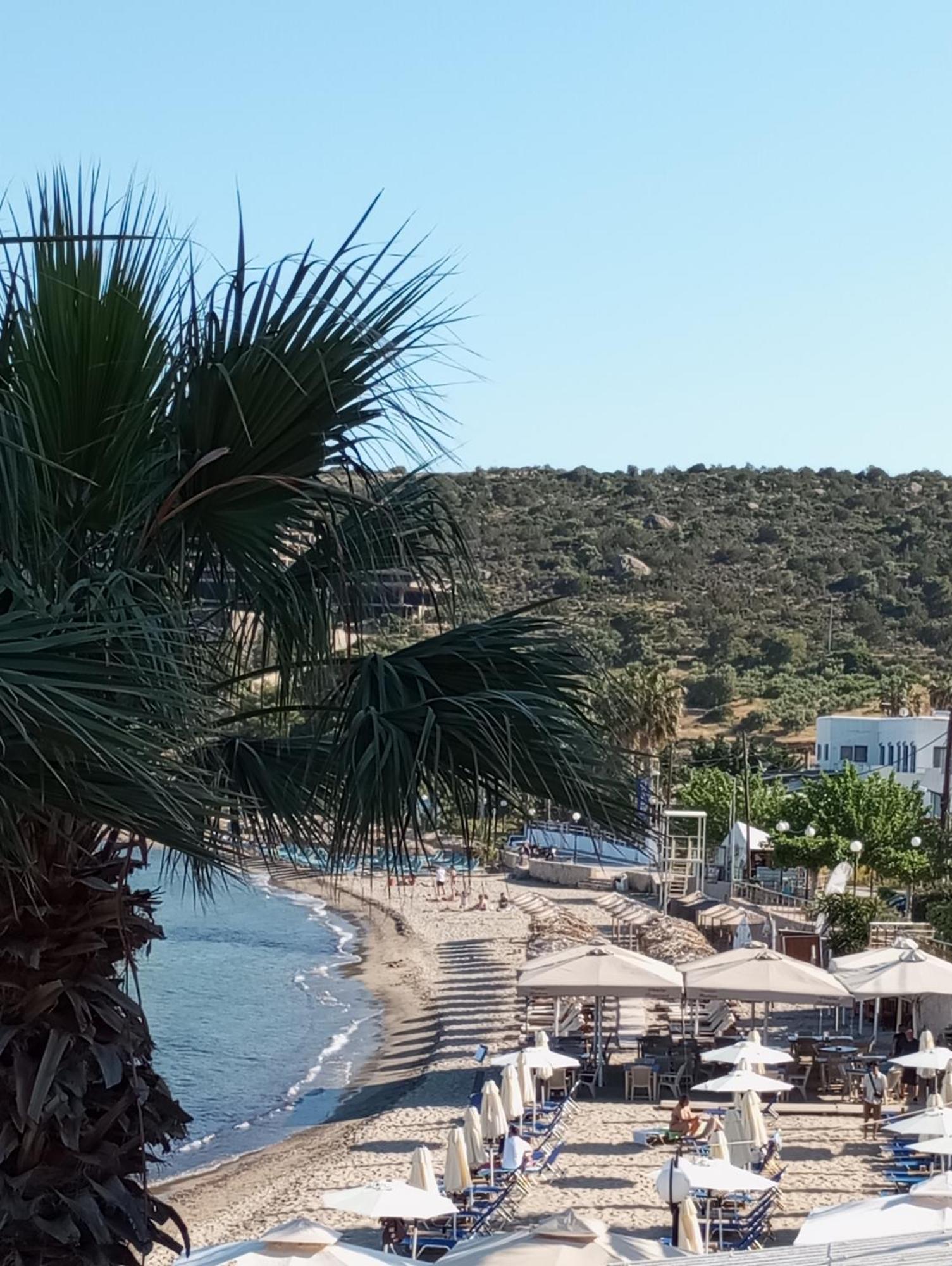 Svetlana & Michalis Oasis Hotel Agia Marina  Eksteriør bilde